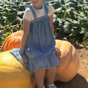 Zara dress with embroidered flowers